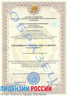 Образец сертификата соответствия аудитора №ST.RU.EXP.00006191-3 Менделеевск Сертификат ISO 50001